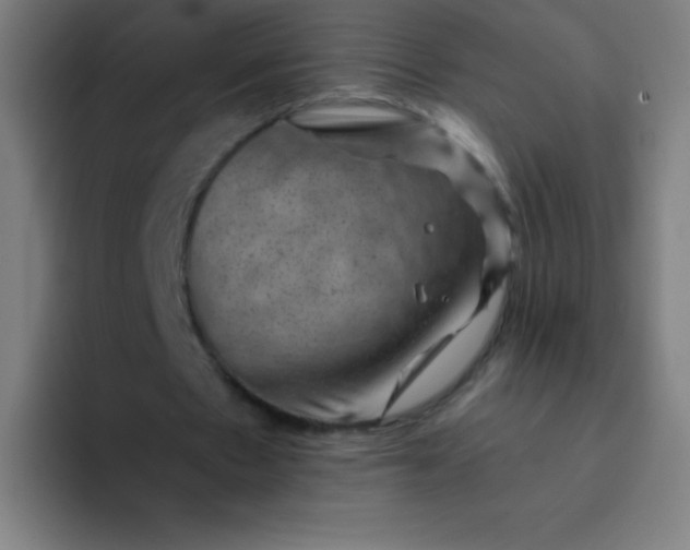 X0000094380481200711162134