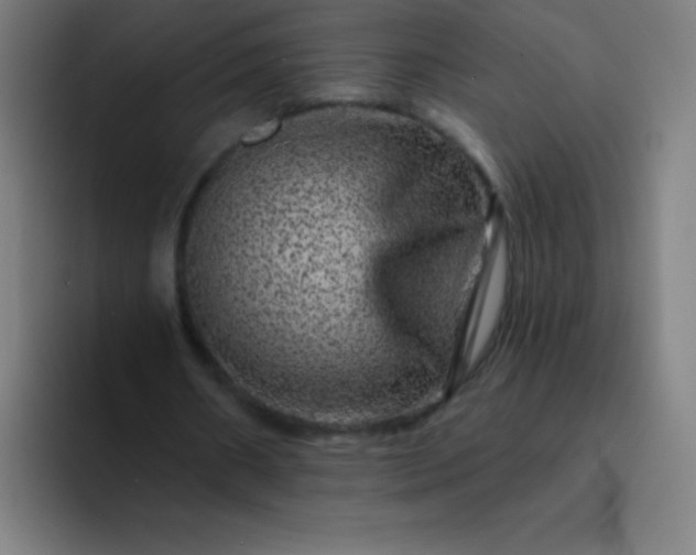 X0000094380482200711162134