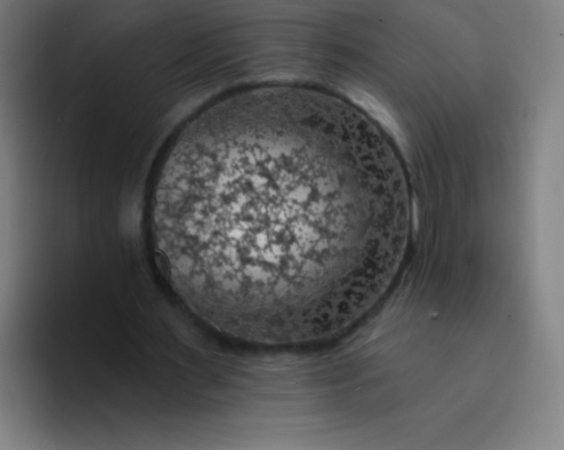 X0000094380483200711162134