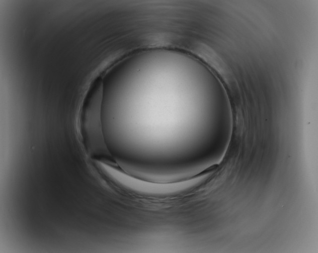 X0000094380485200711162134