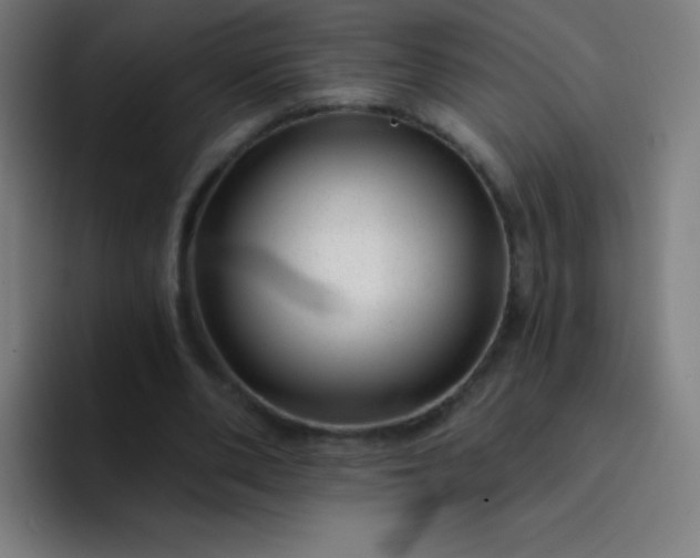 X0000094380486200711162134