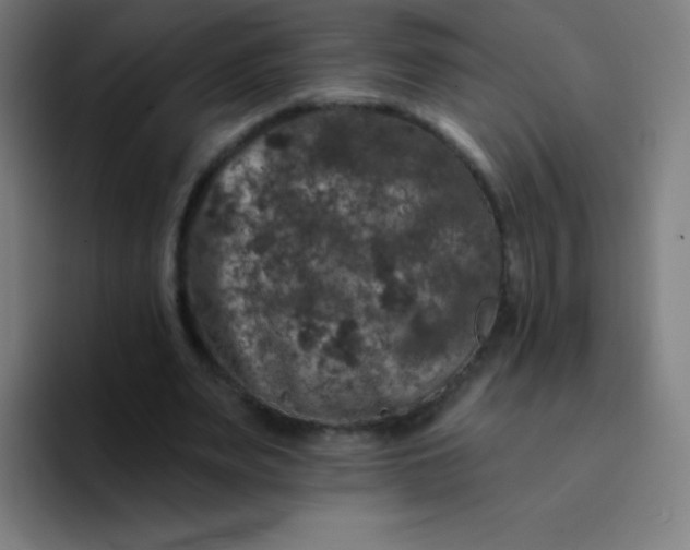X0000094380487200711162134