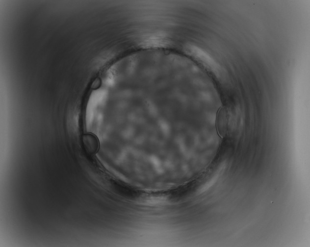 X0000094380491200711162133