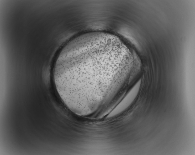 X0000094380492200711162133