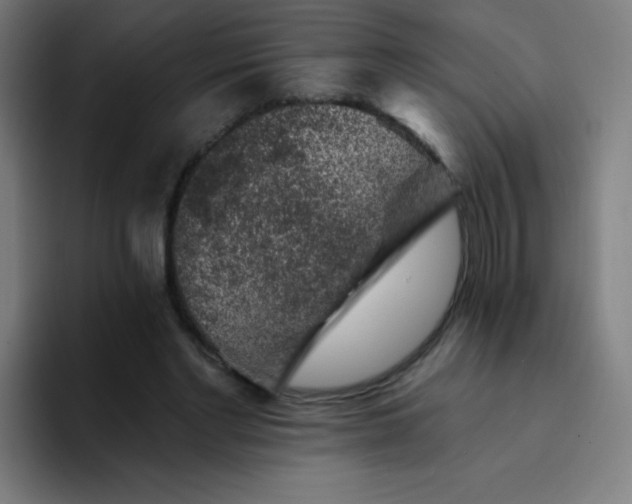 X0000094380493200711162133