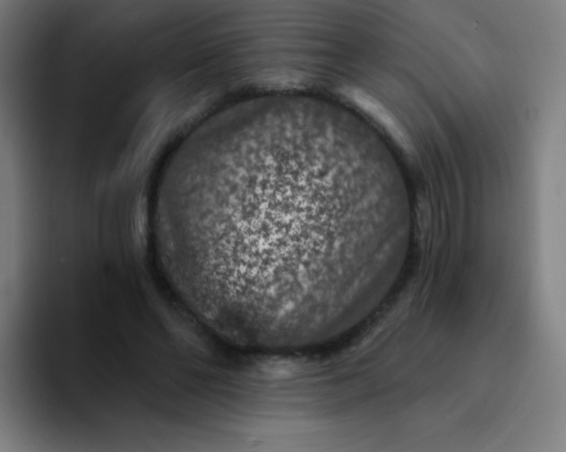 X0000094380494200711162133