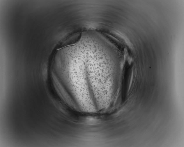 X0000094380496200711162133
