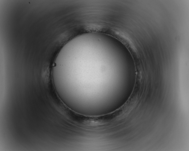 X0000094380498200711162133