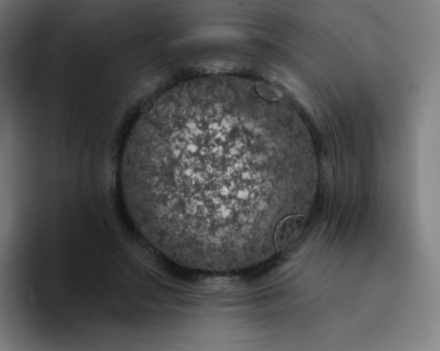 X0000094380499200711162133
