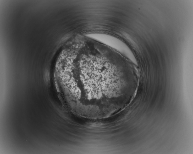 X0000094380500200711162133