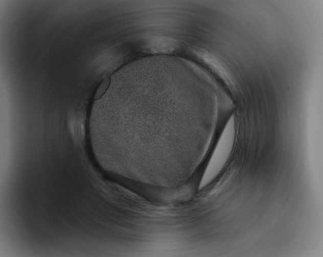 X0000094380501200711162133