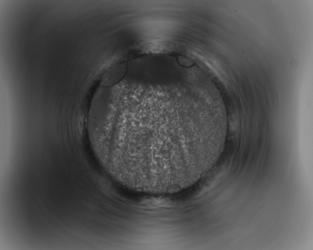 X0000094380503200711162133