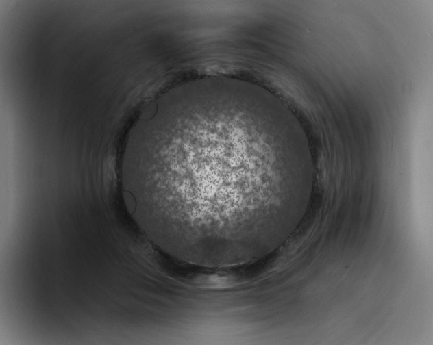 X0000094380506200711162133