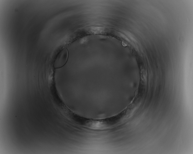 X0000094380507200711162133
