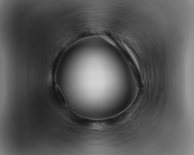 X0000094380508200711162133
