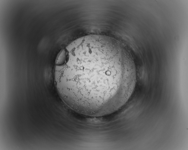 X0000094380511200711162133