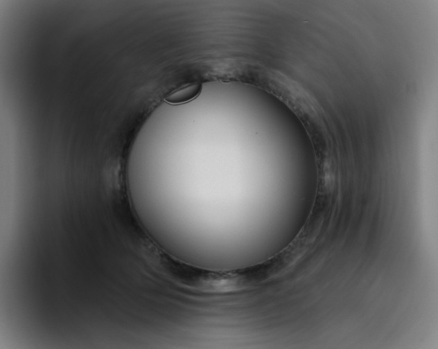 X0000094380514200711162133