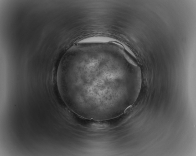 X0000094380515200711162133