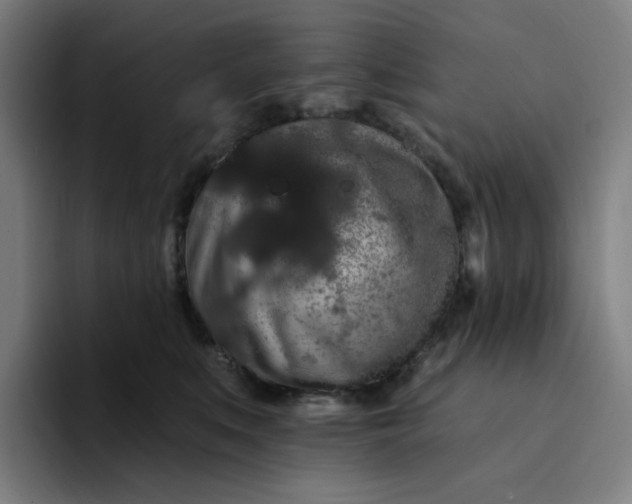X0000094380519200711162133