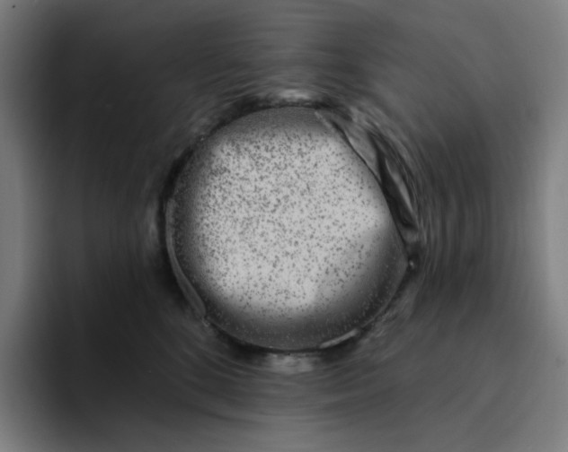 X0000094380520200711162133