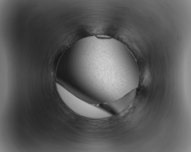 X0000094380521200711162133