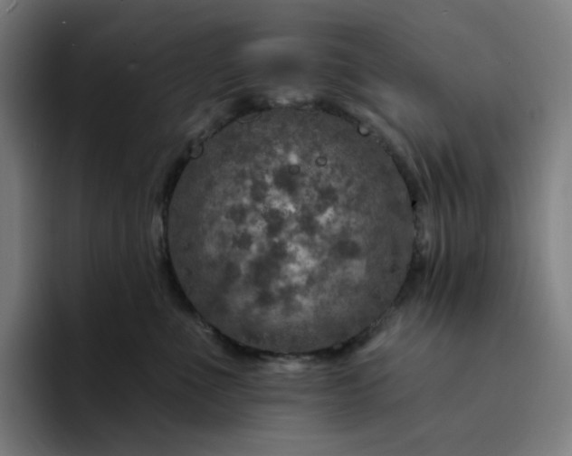 X0000094380523200711162133
