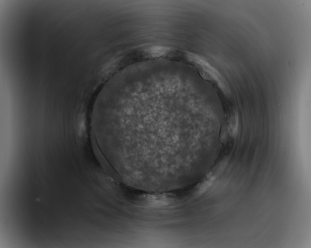 X0000094380524200711162133