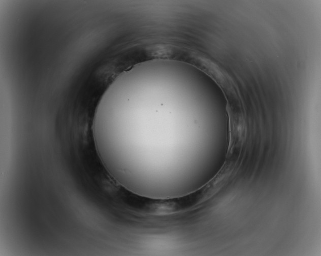 X0000094380525200711162133