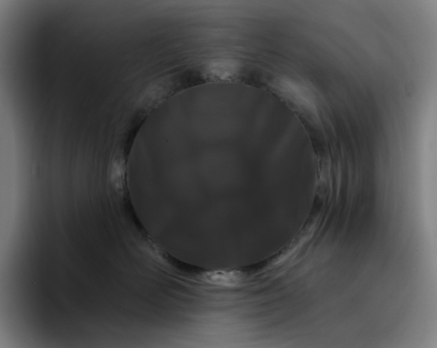 X0000094380526200711162133