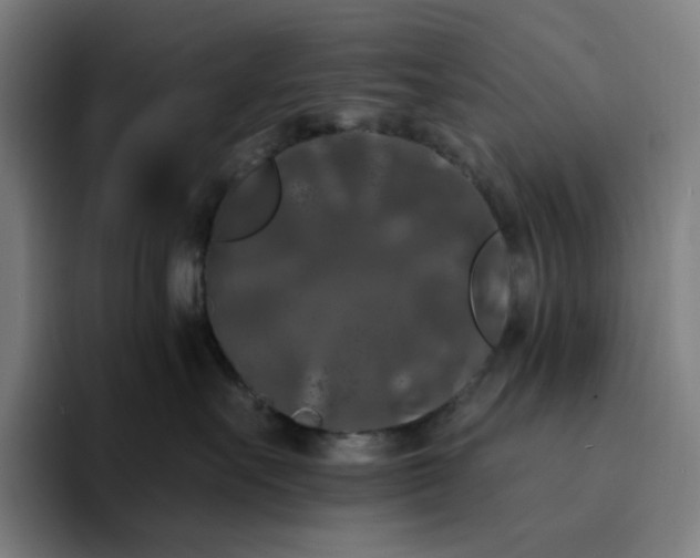 X0000094380527200711162133