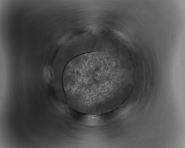 X0000094380528200711162133