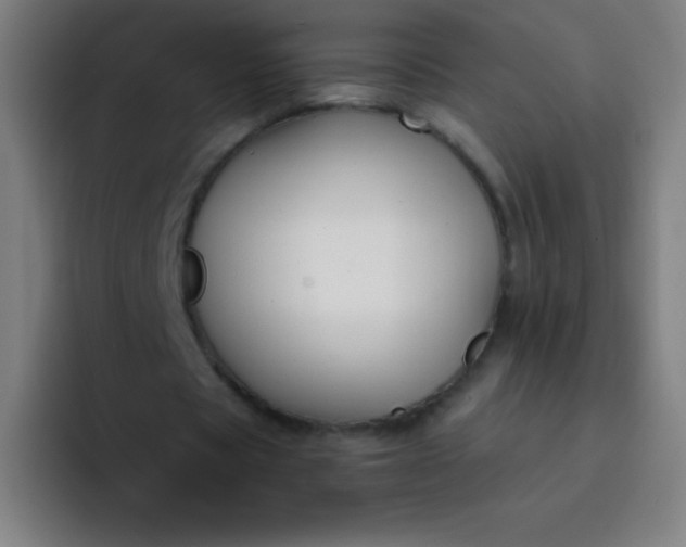 X0000094380529200711162132