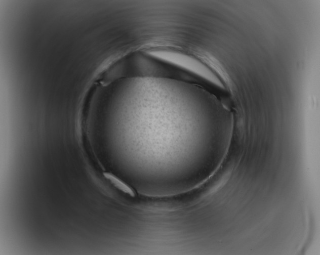 X0000094380530200711162132