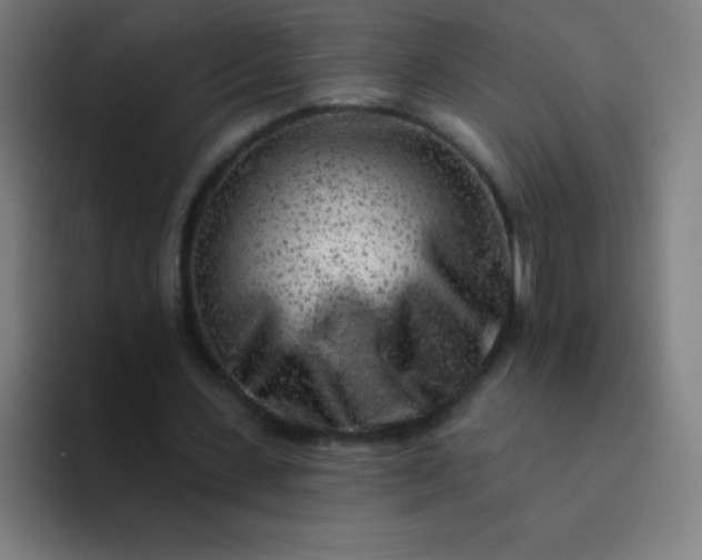 X0000094380531200711162132