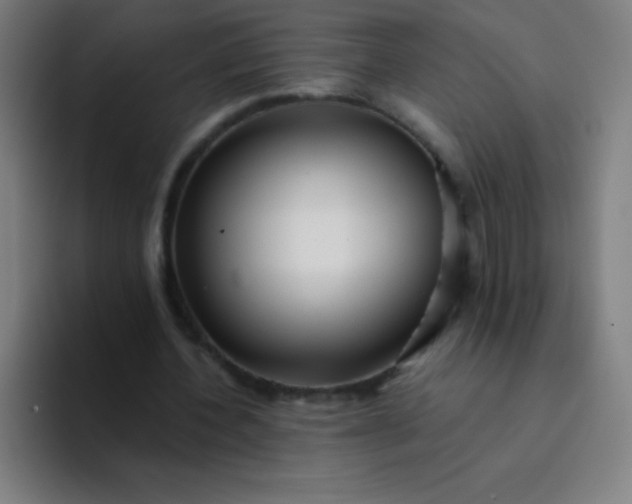 X0000094380532200711162132