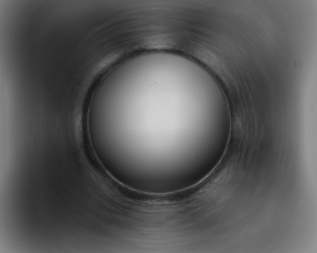 X0000094380535200711162132