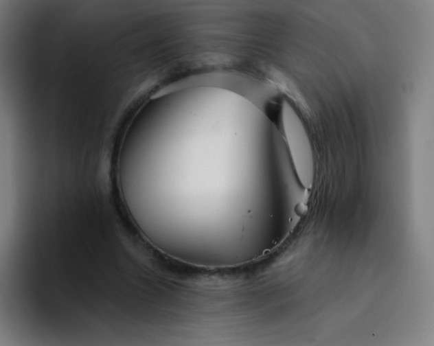 X0000094380538200711162132