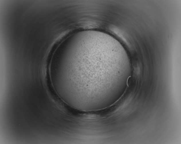 X0000094380539200711162132
