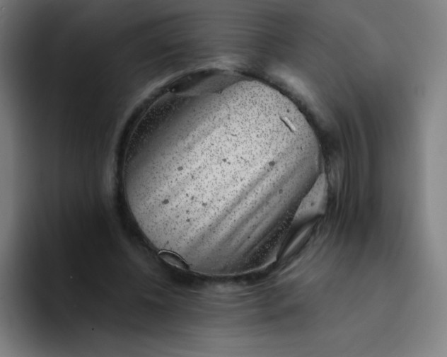 X0000094380540200711162133