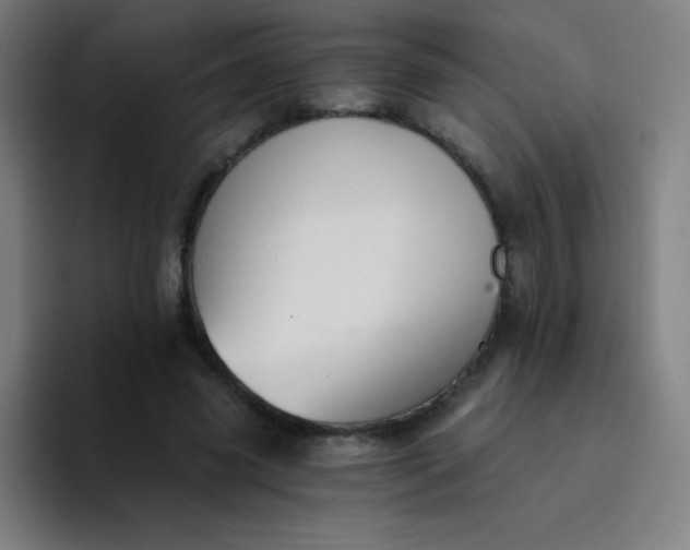 X0000094380541200711162133