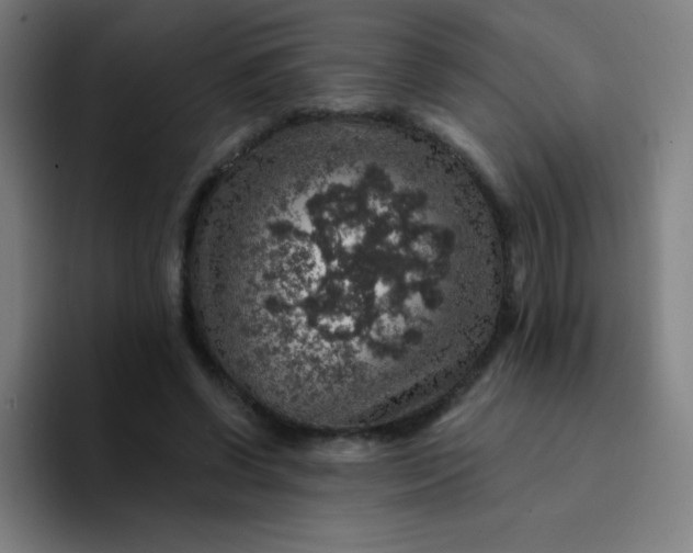 X0000094380542200711162133