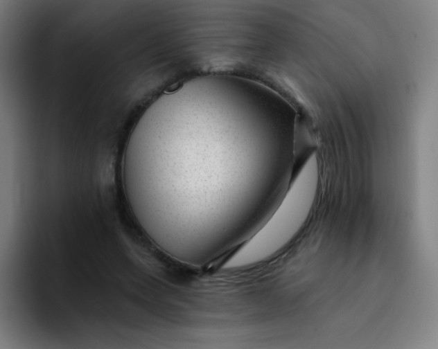 X0000094380543200711162133
