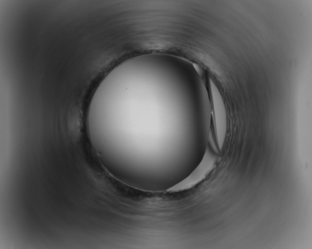 X0000094380544200711162133