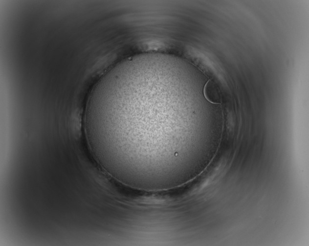 X0000094380545200711162133