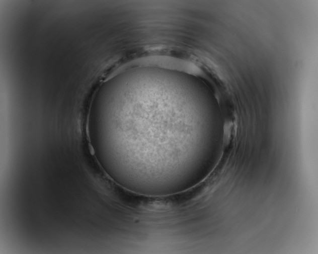 X0000094380546200711162133