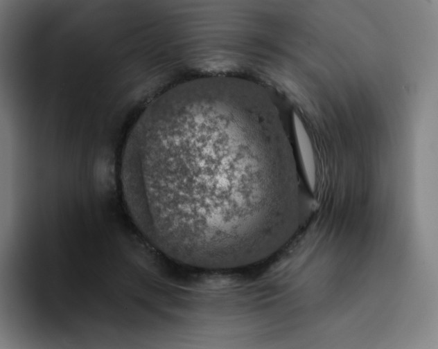 X0000094380547200711162133