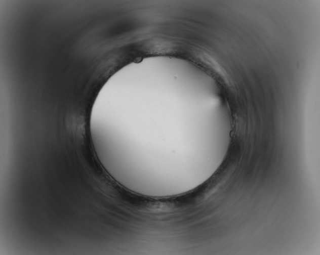X0000094380549200711162133