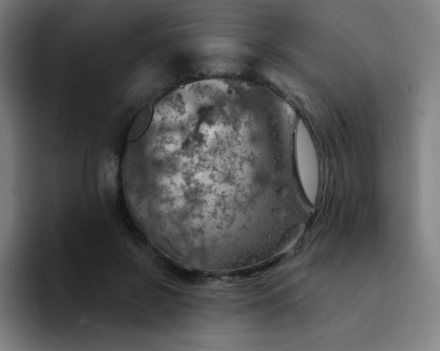 X0000094380550200711162133