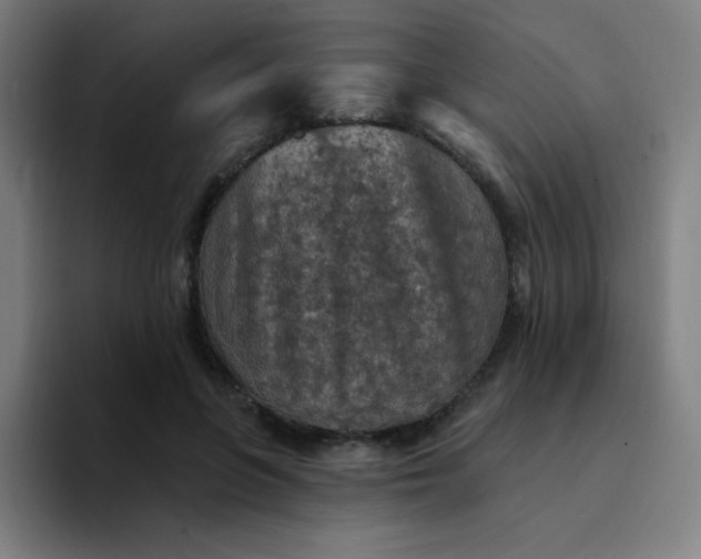 X0000094380551200711162133