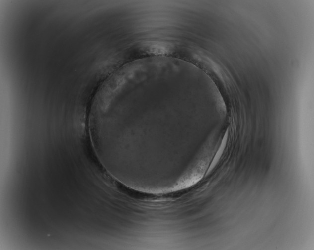 X0000094380553200711162133